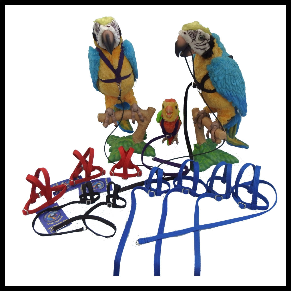 Majick Feathers Harnesses