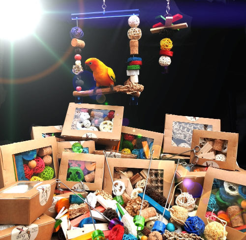 The full collection of colorful bird toys and accessories for the Majick Feathers PLEGO Range