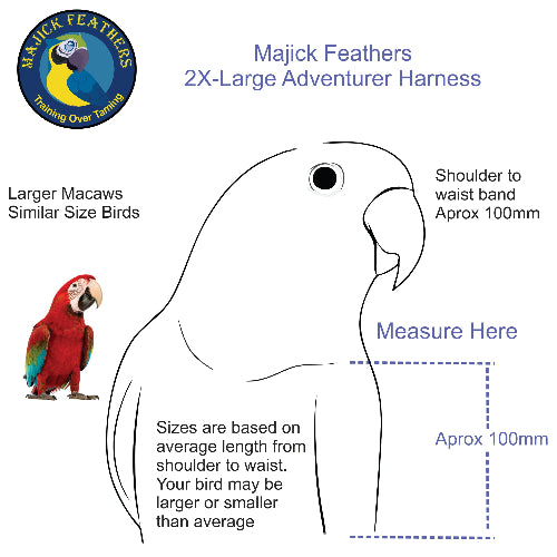 Size guide diagram for the Majick Feathers 2X-Large Adventurer Harness
