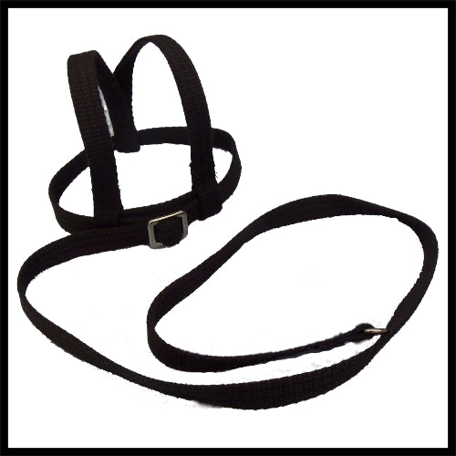 A black woven fabric bird harness with stainless steel D-rings and adjustment buckles