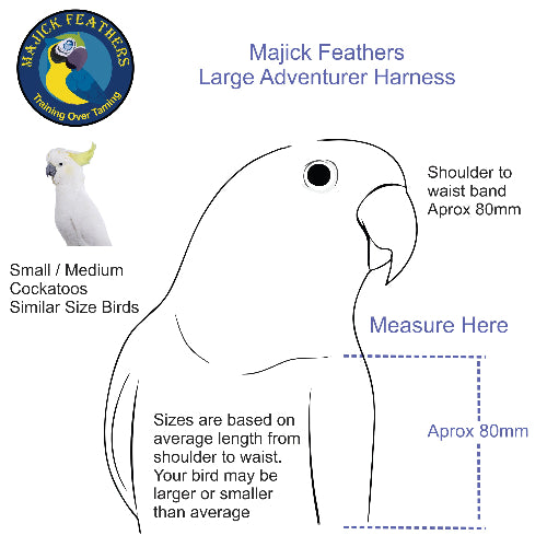 Size guide diagram for the Majick Feathers Large Adventurer Harness