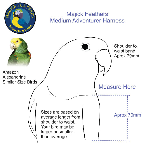 Size guide diagram for the Majick Feathers medium Adventurer Harness