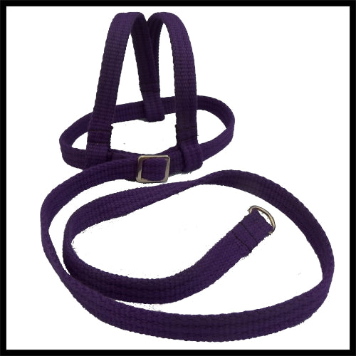 A purple woven fabric bird harness with stainless steel D-rings and adjustment buckles