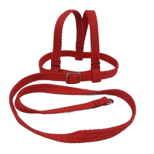 A red woven fabric bird harness with stainless steel D-rings and adjustment buckles