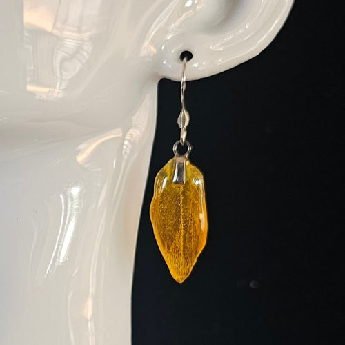 Apollo Blue & Gold Macaw Feather Earrings | Handmade Parrot Feather Jewellery | MF-ER-1009