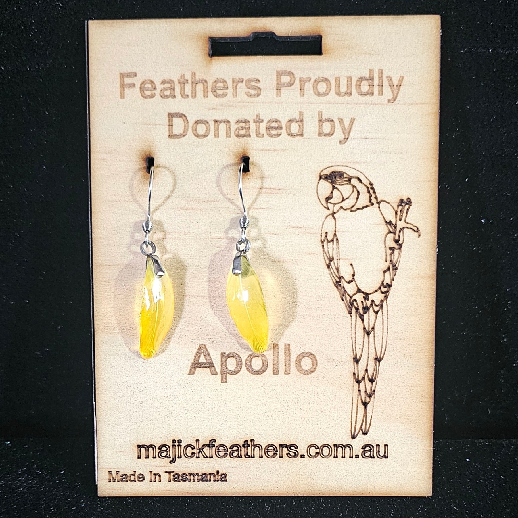 Apollo Blue & Gold Macaw Feather Earrings | Handmade Parrot Feather Jewellery | MF-ER-1011