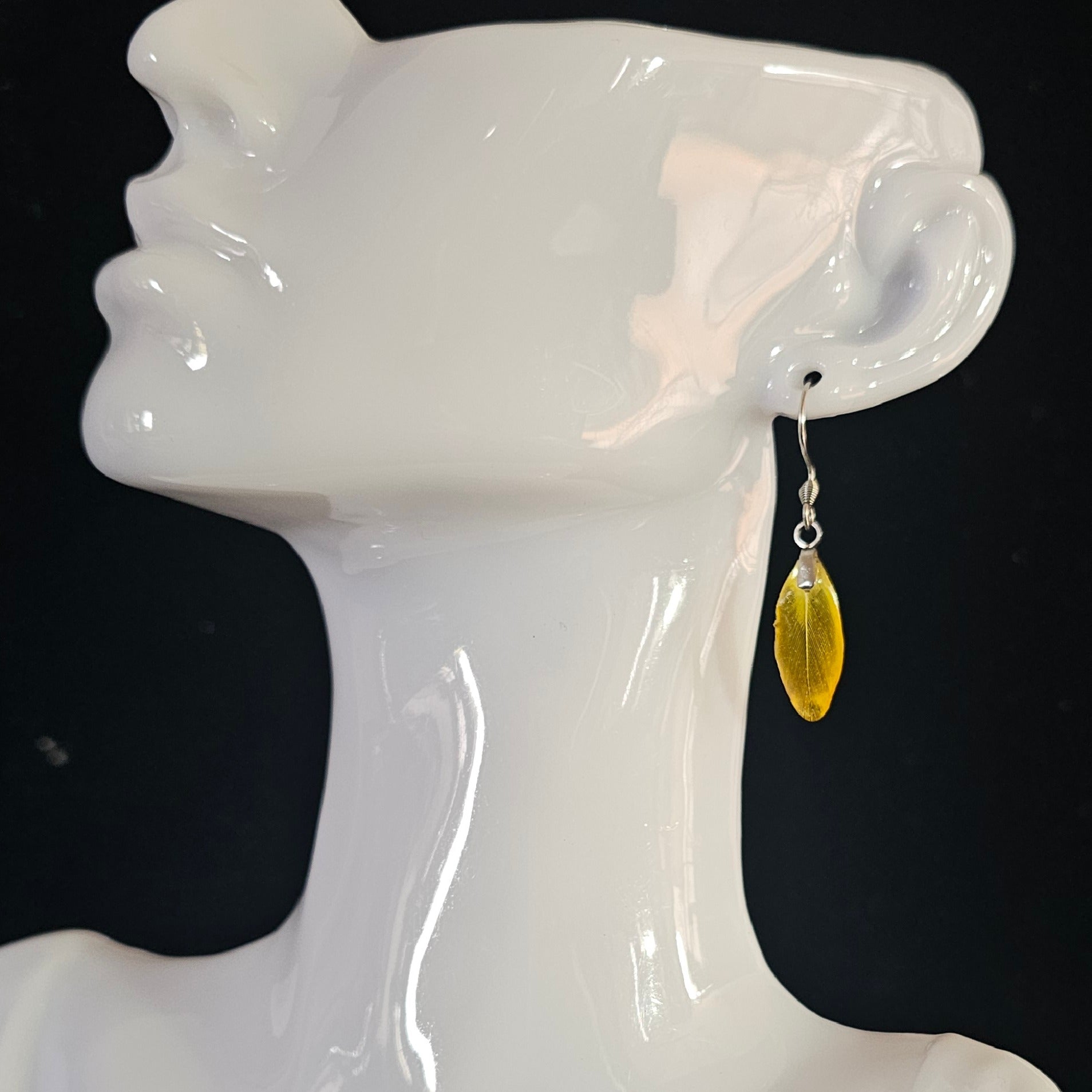 Apollo Blue & Gold Macaw Feather Earrings | Handmade Parrot Feather Jewellery | MF-ER-1011
