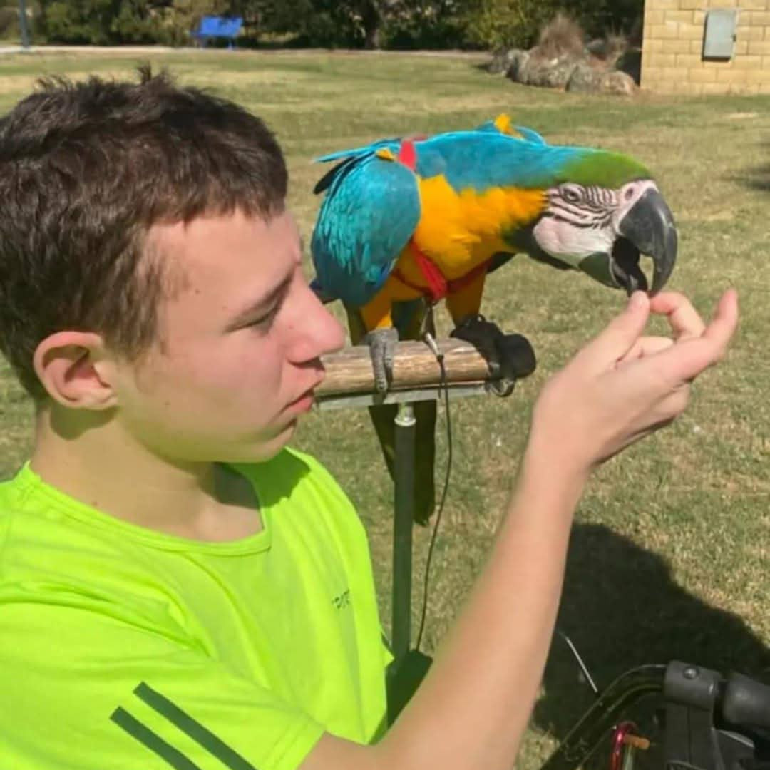 Apollo Taking Treat