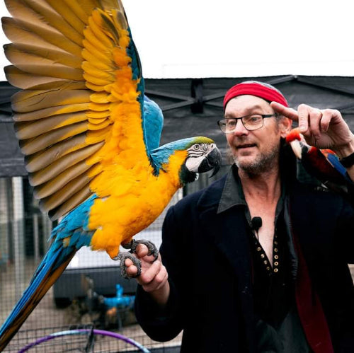 A man wearing a red bandana and glasses holds a blue and yellow macaw parrot with one hand while gesturing with the other
