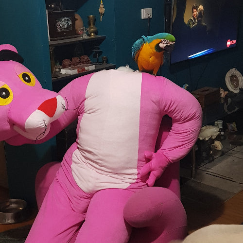 The Pink Panther Mascot with Apollo