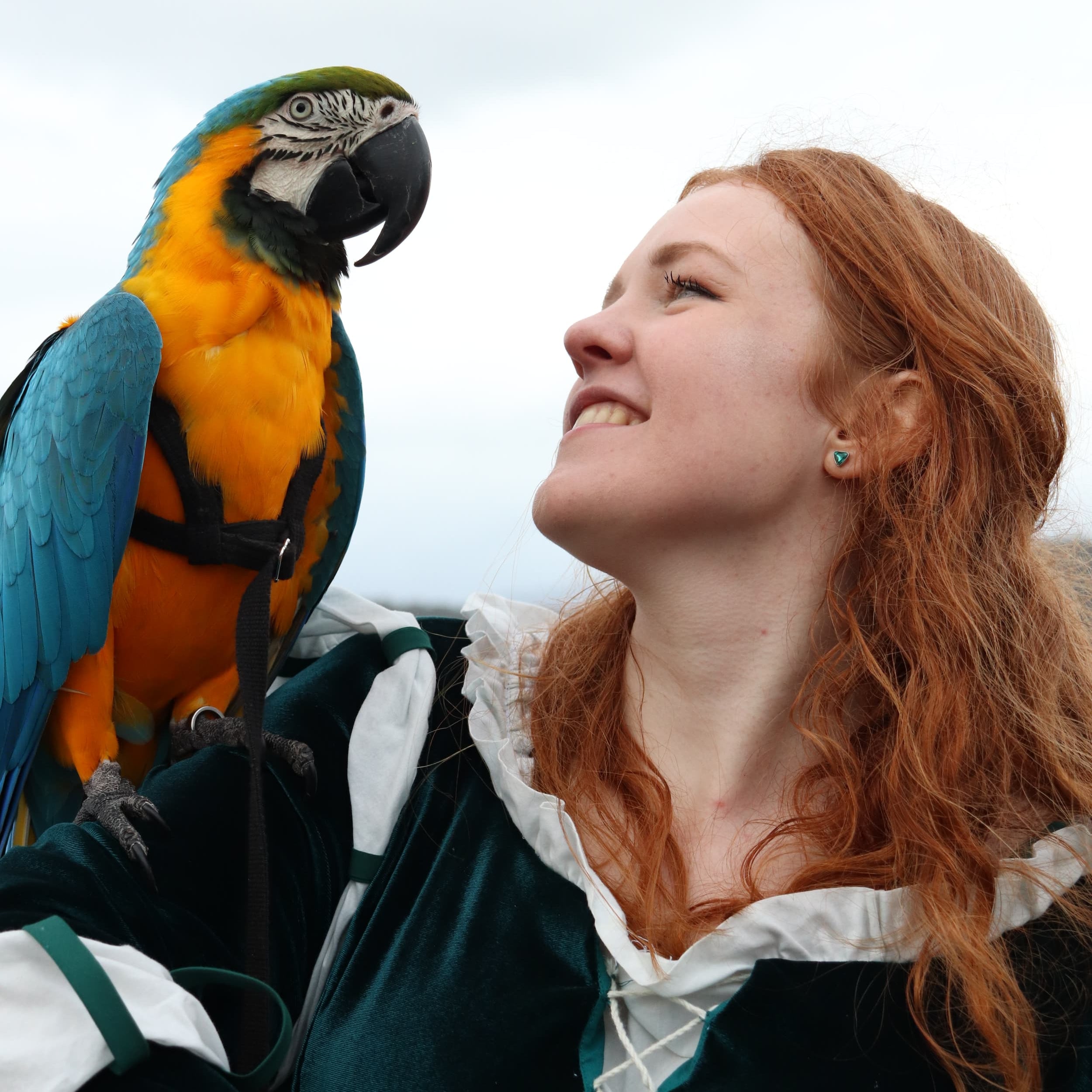 Apollo at Medieval Event