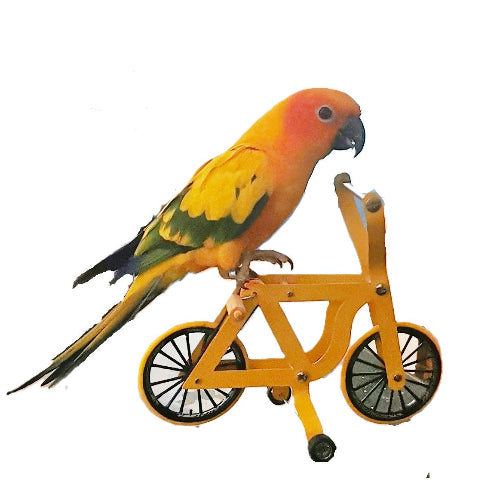 Bandit on a Birdy Bike