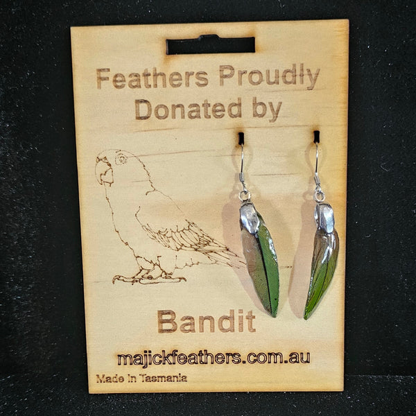 Bandit Sun Conure Feather Earrings | Handmade Parrot Feather Jewellery | MF-ER-1005