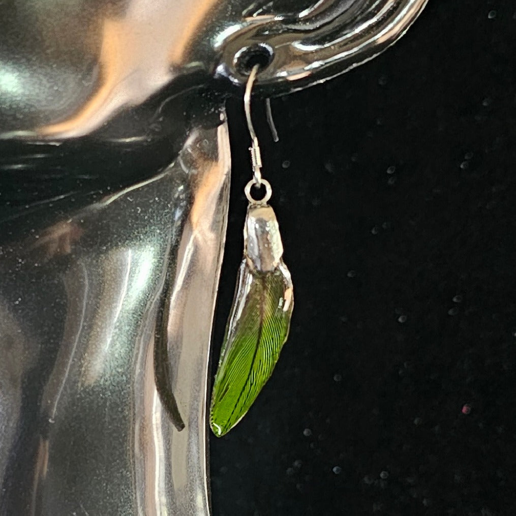 Bandit Sun Conure Feather Earrings | Handmade Parrot Feather Jewellery | MF-ER-1005