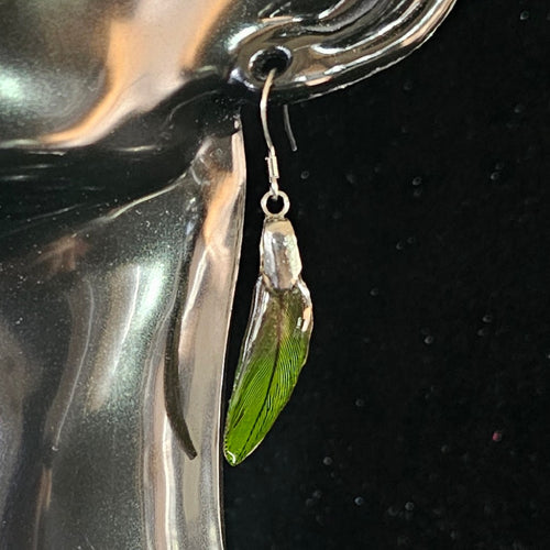 Bandit Sun Conure Feather Earrings | Handmade Parrot Feather Jewellery | MF-ER-1005