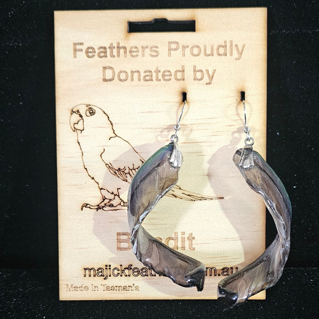 Bandit Sun Conure Feather Earrings | Handmade Parrot Feather Jewellery | MF-ER-1007