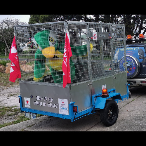 Majick Feathers TasBash Mascot "Basha" in the trailer aviary