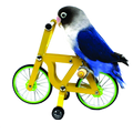A small blue and white lovebird perched on a miniature yellow bicycle with bright green rims