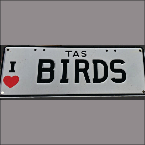 Numberplate for the Birdy Bus