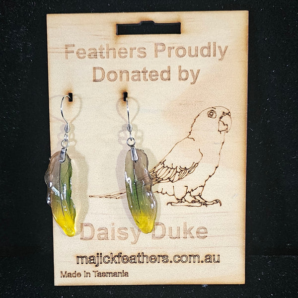 Daisy Duke Jenday Conure Feather Earrings | Handmade Parrot Feather Jewellery | MF-ER-1008