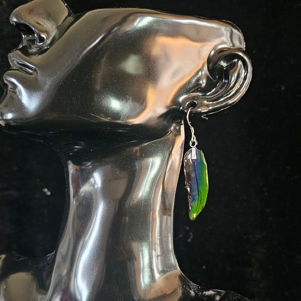 Daisy Duke Jenday Conure Feather Earrings | Handmade Parrot Feather Jewellery | MF-ER-1010