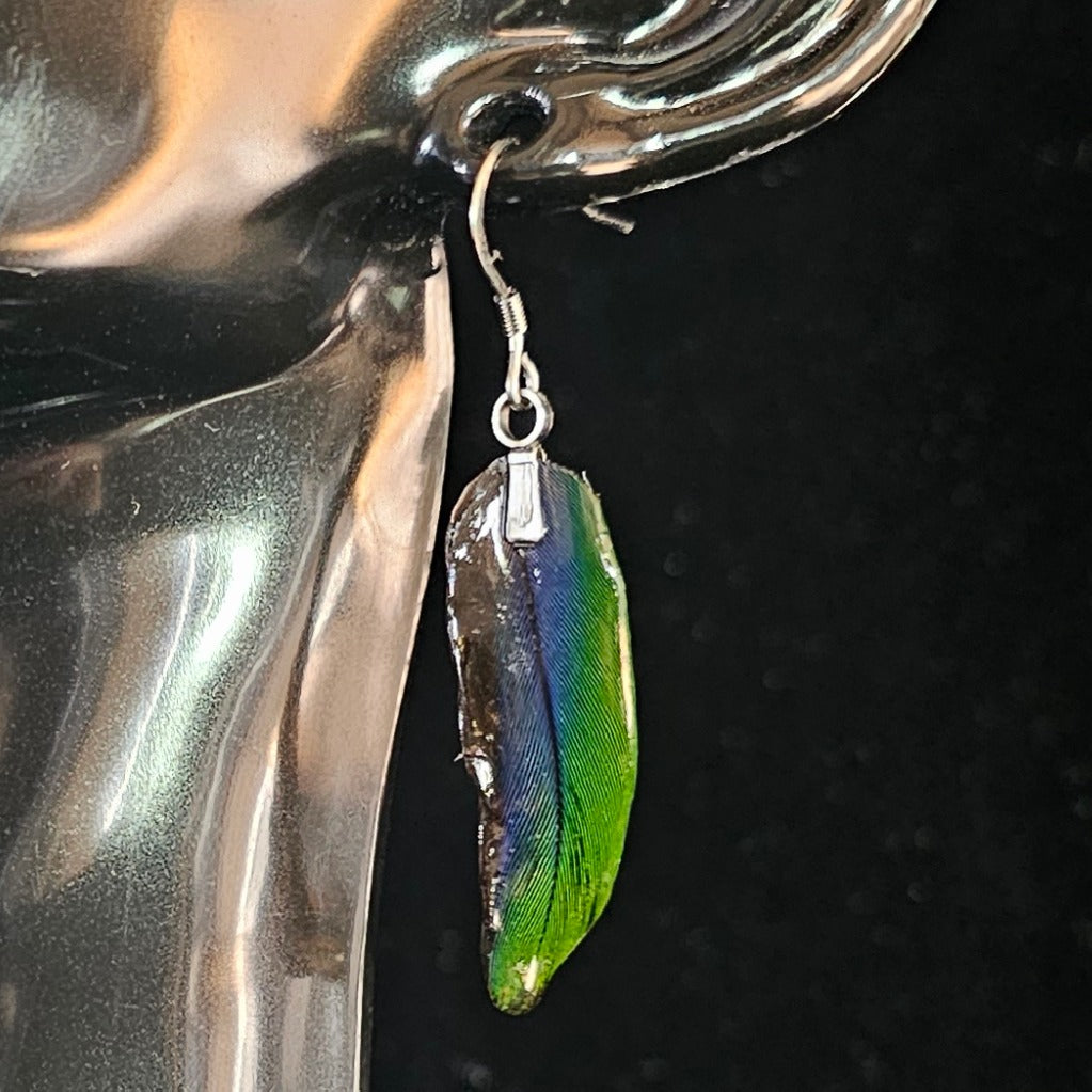 Daisy Duke Jenday Conure Feather Earrings | Handmade Parrot Feather Jewellery | MF-ER-1010