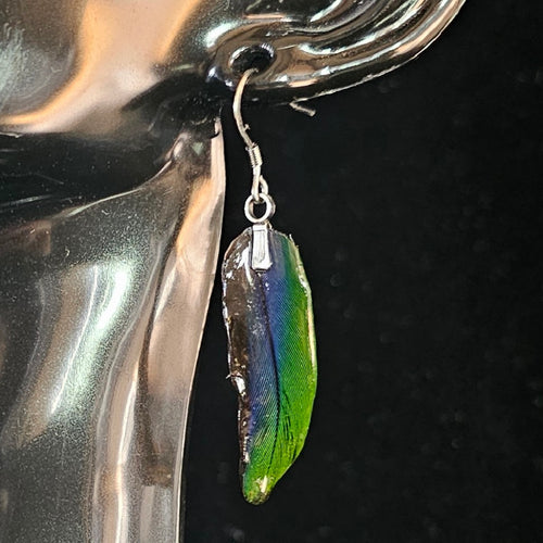 Daisy Duke Jenday Conure Feather Earrings | Handmade Parrot Feather Jewellery | MF-ER-1010