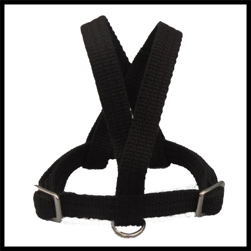 A black woven fabric bird harness with stainless steel D-rings and adjustment buckles