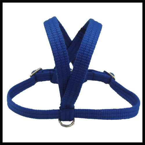 A blue woven fabric bird harness with stainless steel D-rings and adjustment buckles