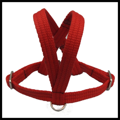 A red woven fabric bird harness with stainless steel D-rings and adjustment buckles