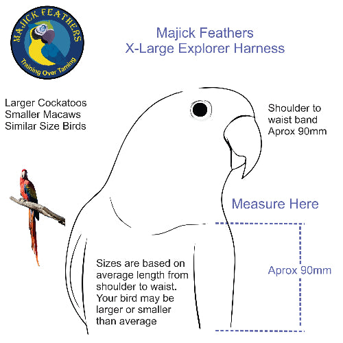 Size guide diagram for a Majick Feathers X-Large Explorer Harness