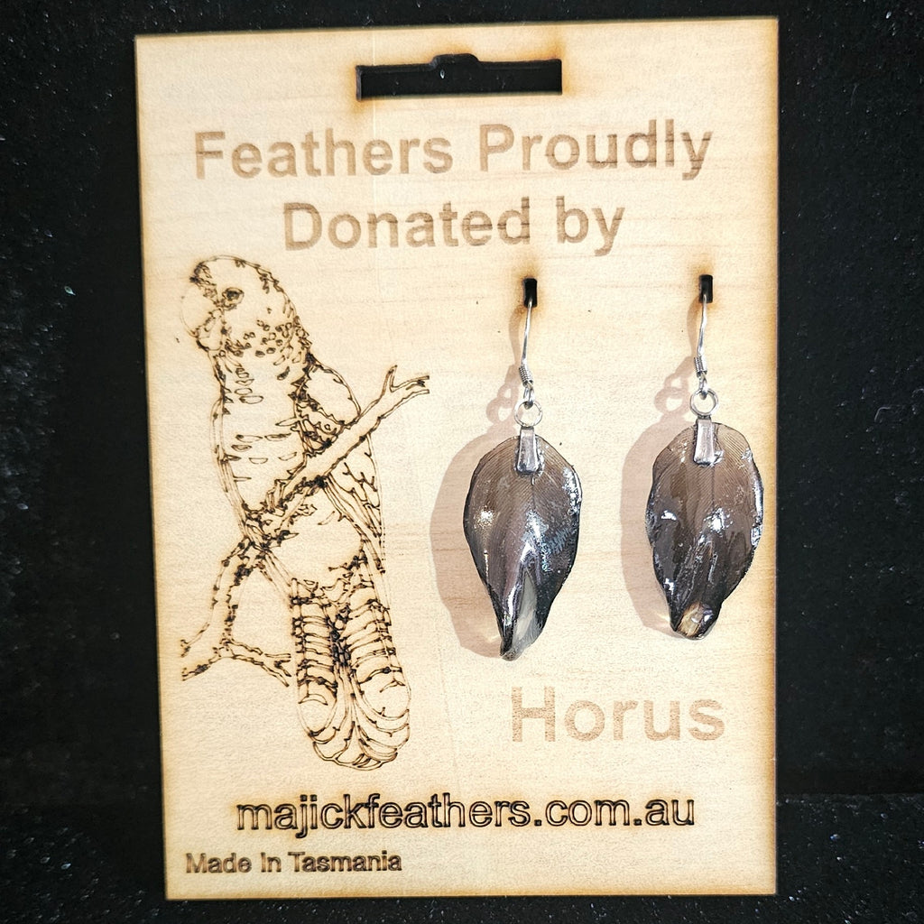 Horus Red Tail Black Cockatoo Feather Earrings | Handmade Parrot Feather Jewellery | MF-ER-1002