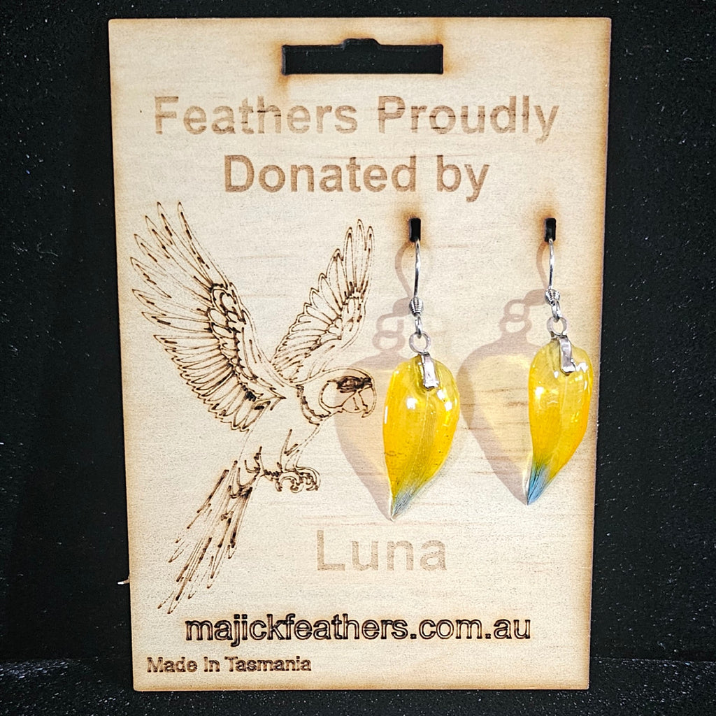 Luna Scarlet Macaw Feather Earrings | Handmade Parrot Feather Jewellery | MF-ER-1003