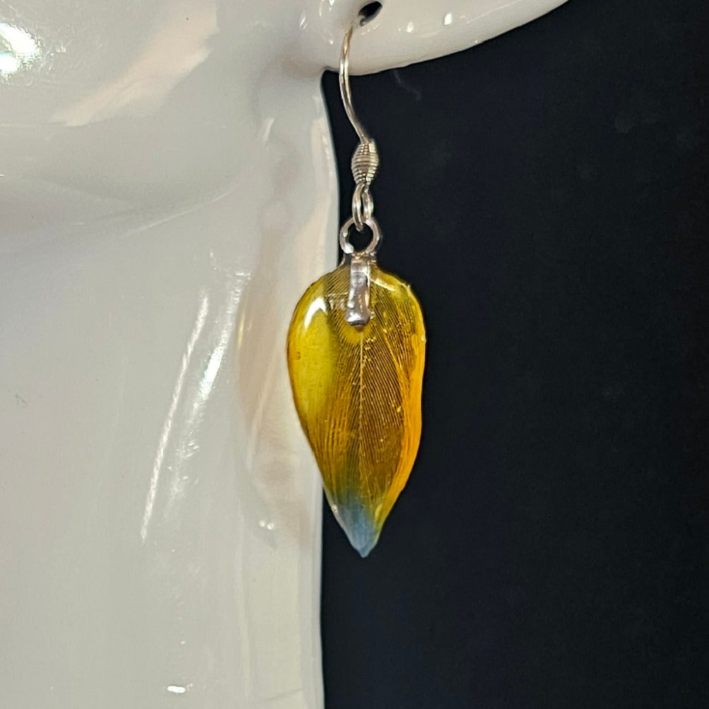 Luna Scarlet Macaw Feather Earrings | Handmade Parrot Feather Jewellery | MF-ER-1003