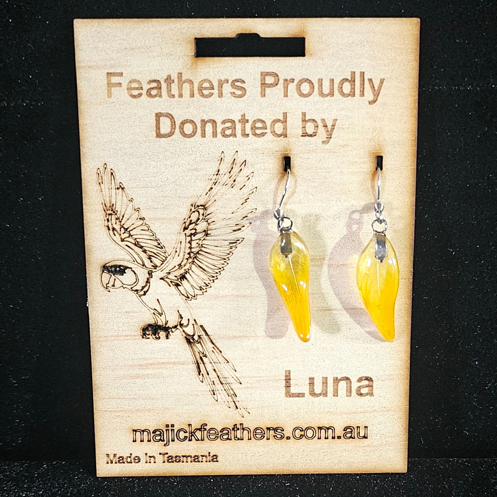 Luna Scarlet Macaw Feather Earrings | Handmade Parrot Feather Jewellery | MF-ER-1006
