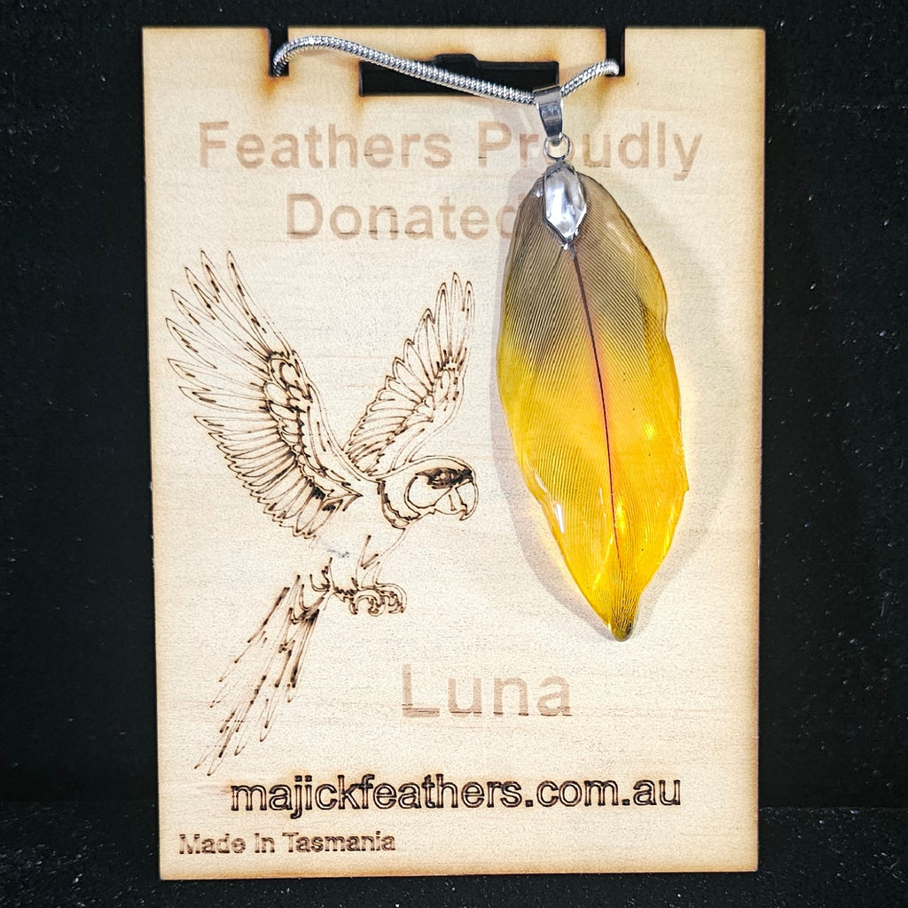 Luna Scarlet Macaw Feather Pendant | Handmade Jewellery | MF-PEN-1002