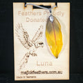Luna Scarlet Macaw Feather Pendant | Handmade Jewellery | MF-PEN-1002