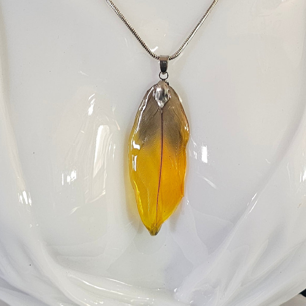 Luna Scarlet Macaw Feather Pendant | Handmade Jewellery | MF-PEN-1002