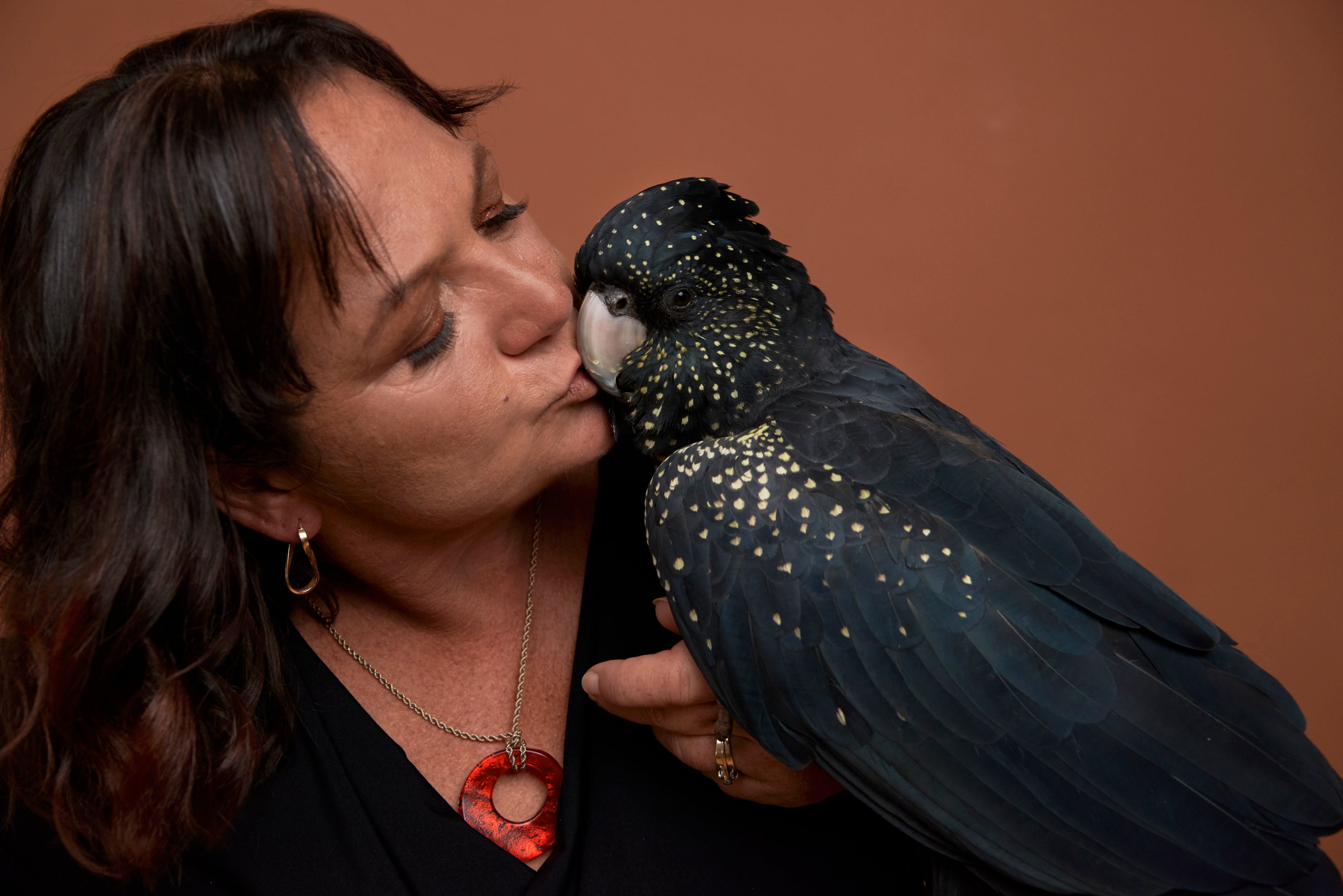 A woman with dark hair kisses a large black cockatoo with white speckles against a solid warm brown background.