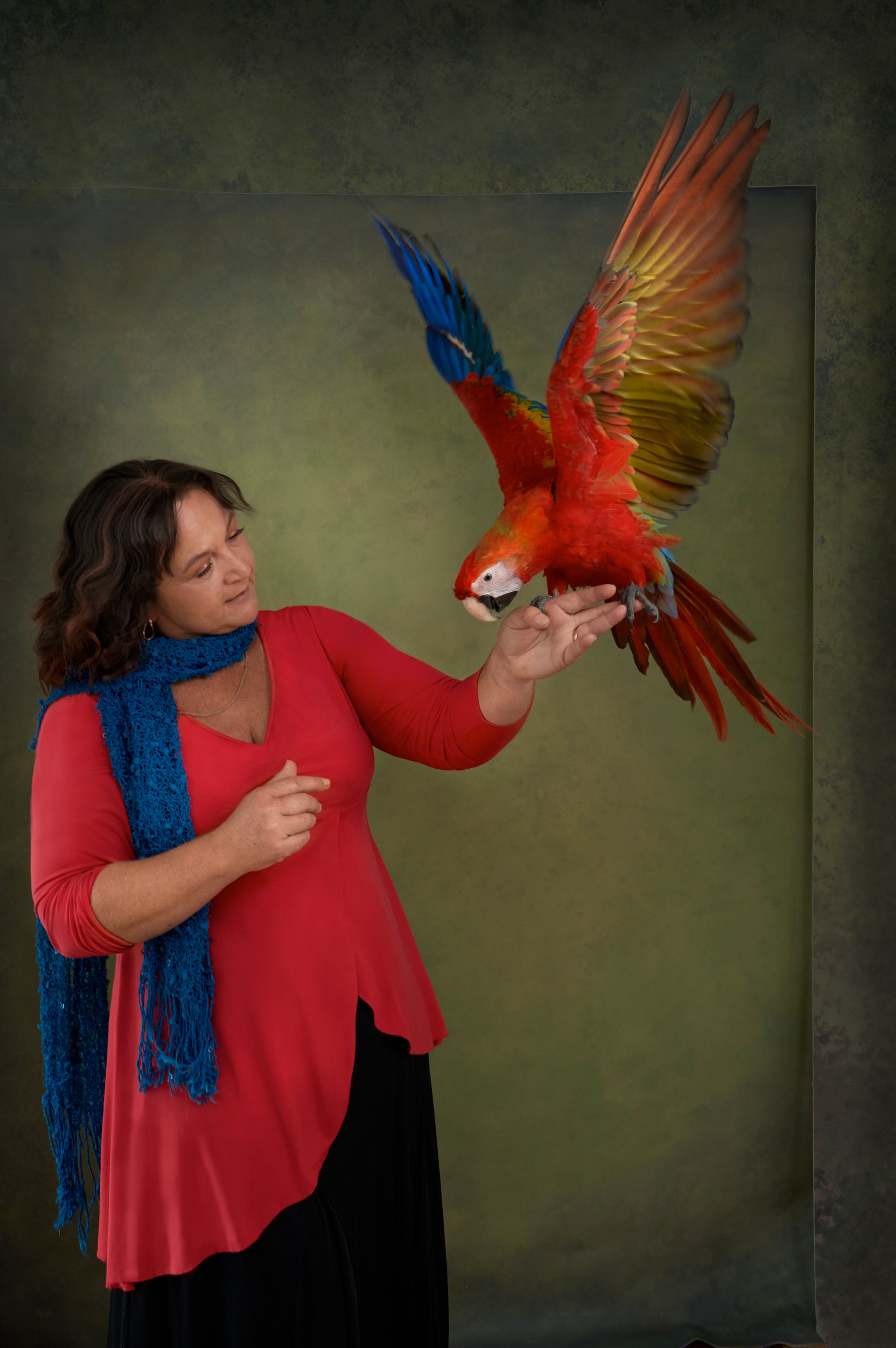 A woman in a red top and blue scarf gently holds a large red-and-blue macaw with spread wings against a textured olive-green studio backdrop.
