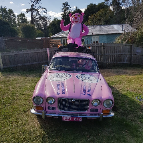Fornt end photo of the "Pink Panther" TasBash car ready for bash