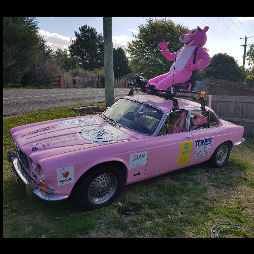 The "Pink Panther" TasBash car ready to go on bash