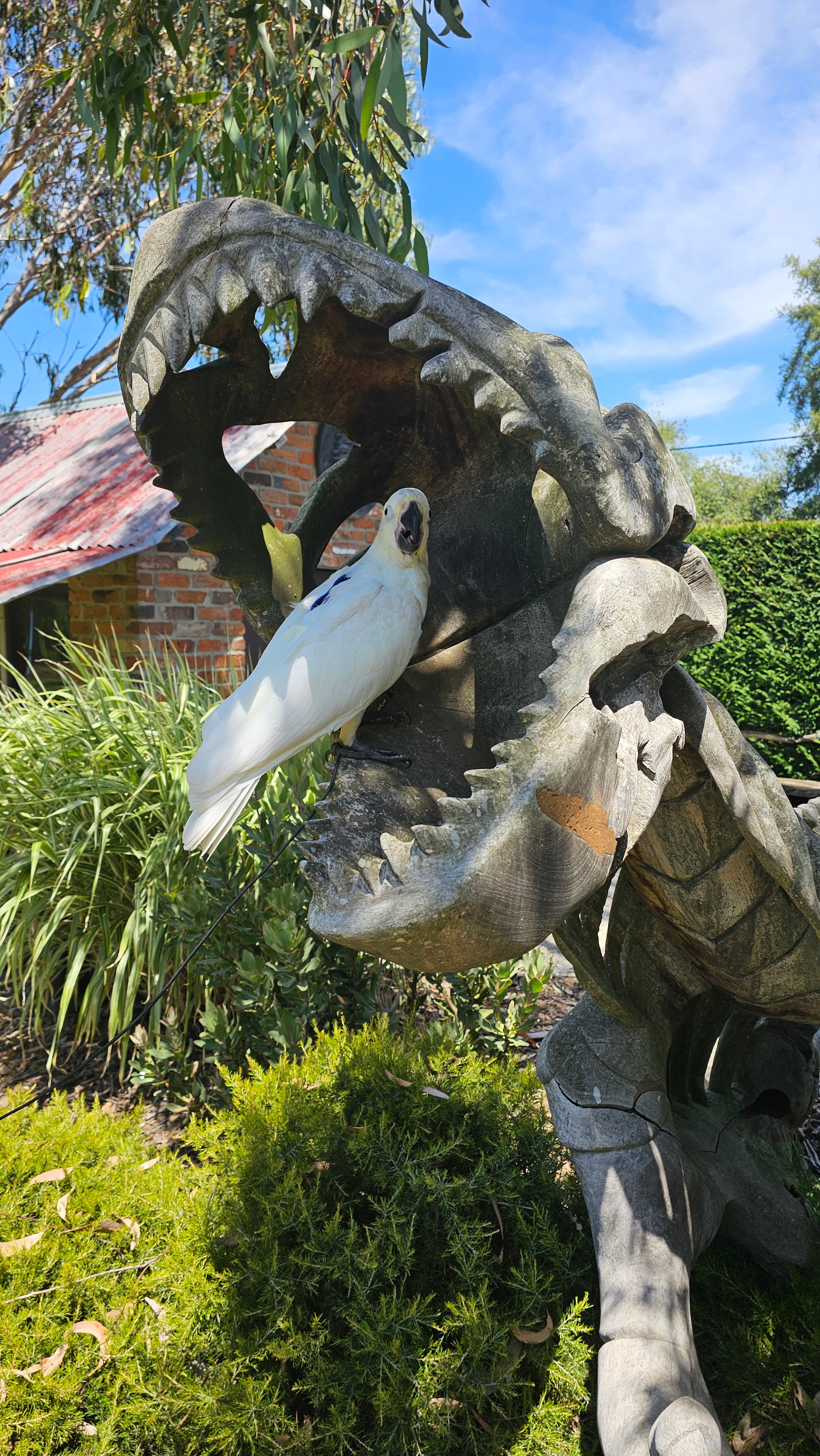 A large outdoor sculpture of a dinosaur or reptile head with an open mouth, shown in a garden setting with green plants, blue sky, and a white bird in the foreground.