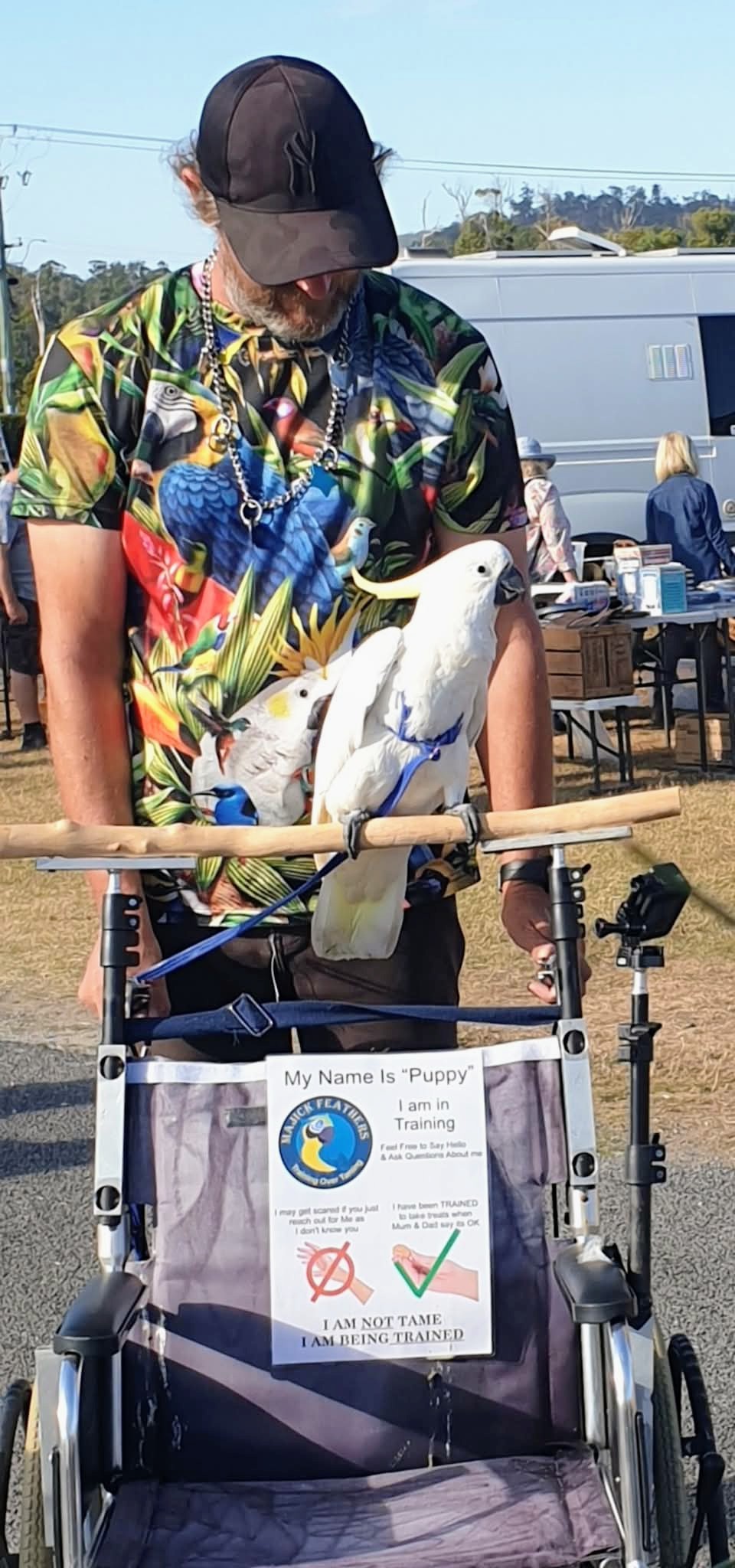 A man wearing a colorful parrot-print shirt and a black cap pushes a wheelchair outdoors with two white birds perched on the backrest. A sign is attached to the wheelchair, and an outdoor event or yard is visible in the background.