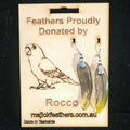 Rocco Sun Conure Feather Earrings | Handmade Parrot Feather Jewellery | MF-ER-1004