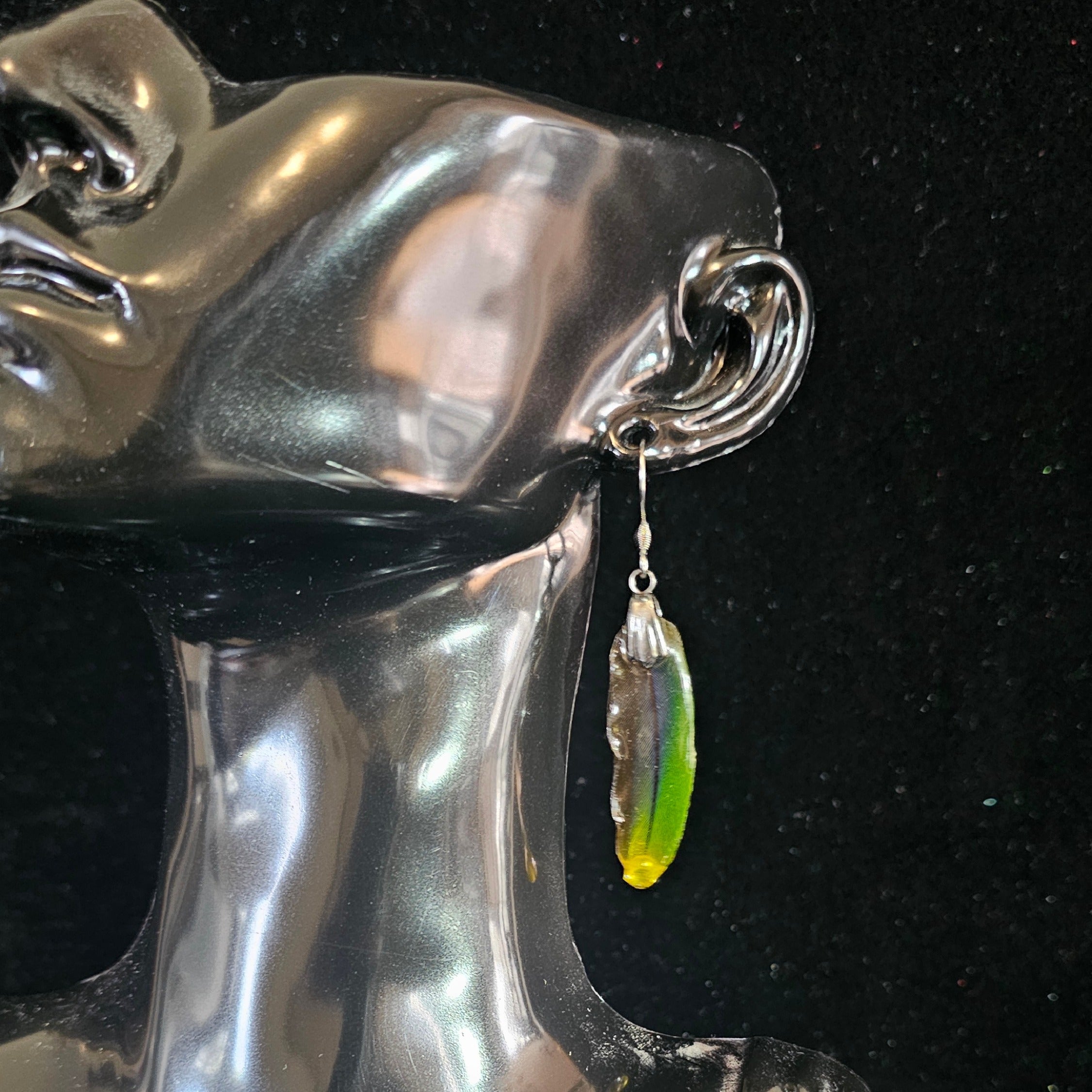 Rocco Sun Conure Feather Earrings | Handmade Parrot Feather Jewellery | MF-ER-1004
