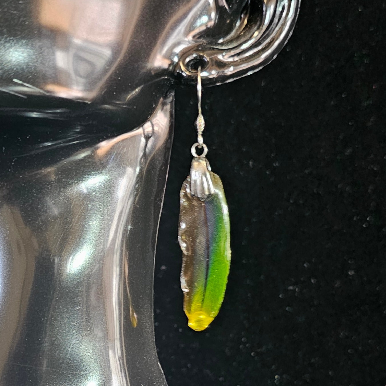 Rocco Sun Conure Feather Earrings | Handmade Parrot Feather Jewellery | MF-ER-1004