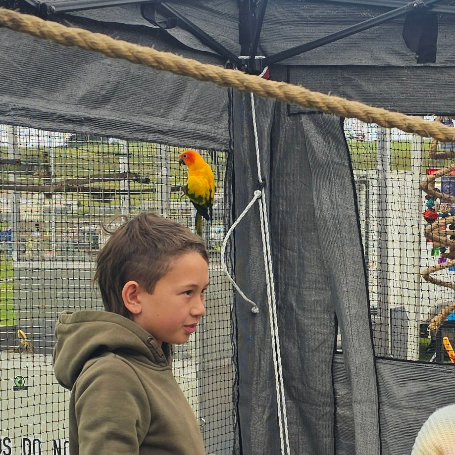 A young boy in an olive green hoodie looks up at a small yellow and green parrot perched on a black mesh aviary cage under a canopy.