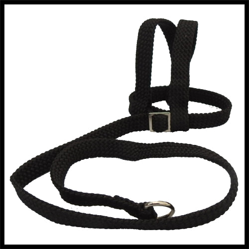 A black woven fabric bird harness with stainless steel D-rings and adjustment buckles