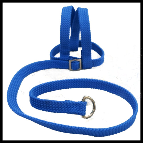 A blue woven fabric bird harness with stainless steel D-rings and adjustment buckles